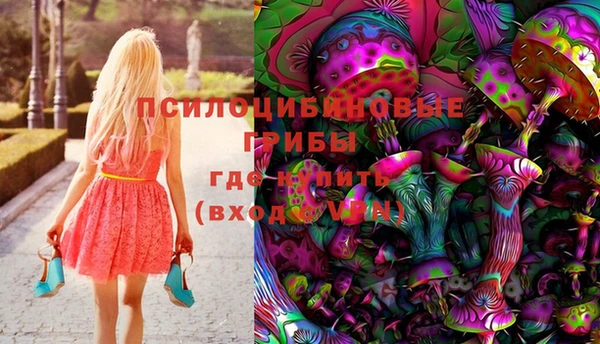синтетический гашиш Алексеевка