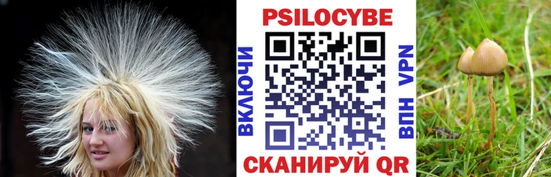 mega ссылка  Асбест  Псилоцибиновые грибы MAGIC MUSHROOMS 